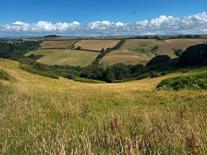 Land For Sale In East Portlemouth, Salcombe, TQ8