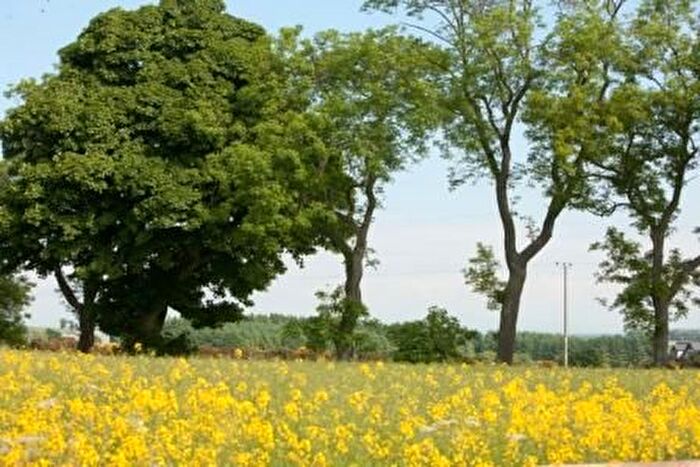 2 Bedroom Bungalow To Rent In Arbroath Road, Forfar, Angus, DD8