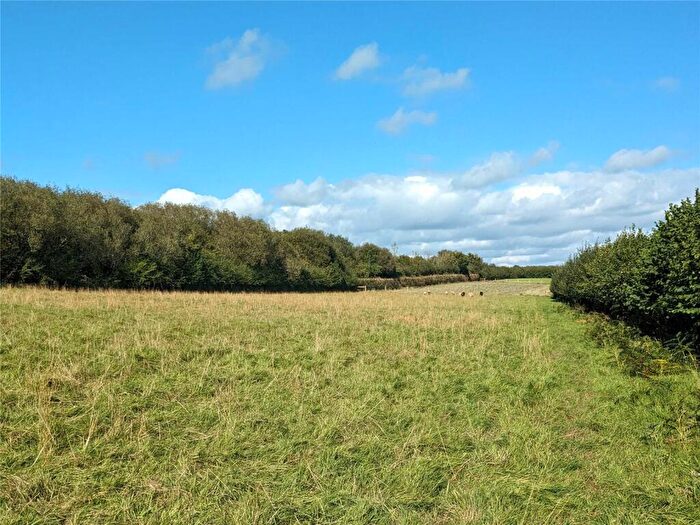 Land For Sale In Lifton, Devon, PL16