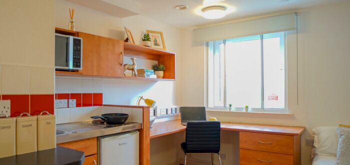 Studio To Rent In Exeter One, Exeter - Student, EX4