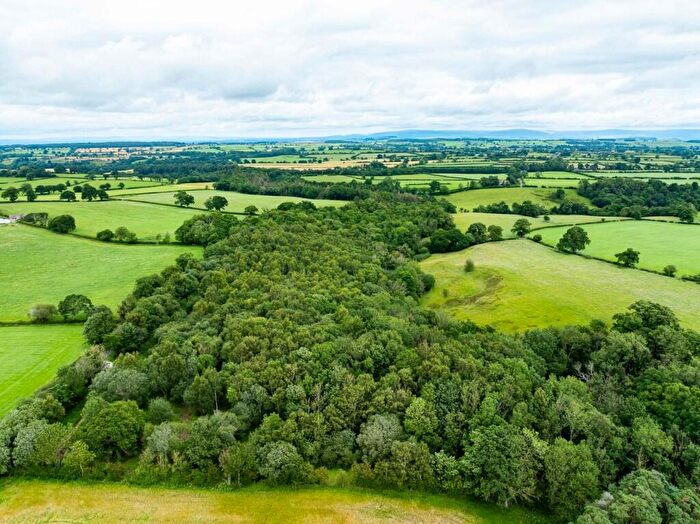 Land For Sale In , CA4