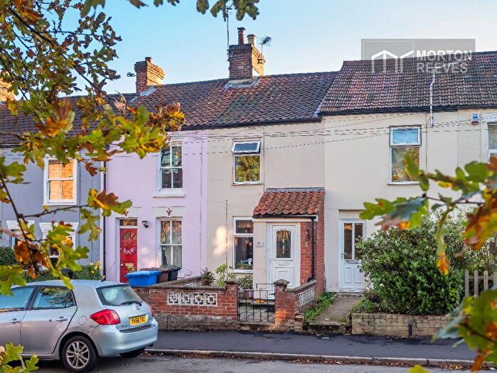 3 Bedroom Terraced House For Sale In Quebec Road, Norwich, Norfolk, NR1