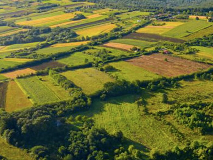 Land For Sale In Dagnall Road, Edlesborough, HP4