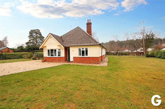 4 Bedroom Bungalow To Rent In Ringwood Road, Verwood, Dorset, BH31