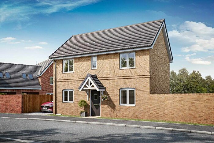 3 Bedroom Detached House To Rent In Leaf Living At Chesterwell, Armada Drive, Colchester, Essex, CO4