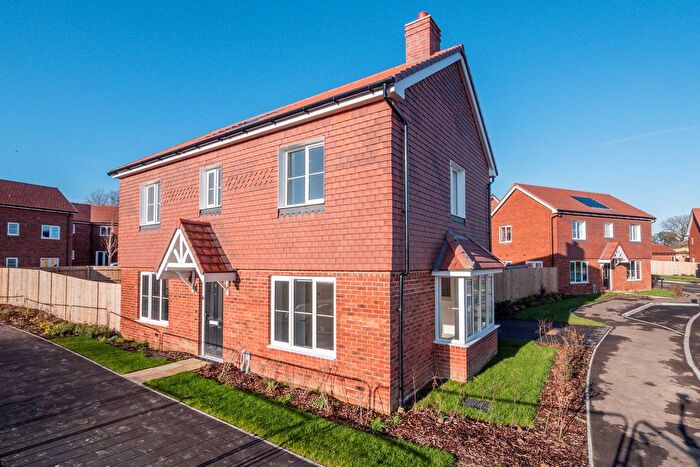 3 Bedroom Detached House To Rent In Leaf Living At Summerhill Gardens, Polegate, Hailsham, Zb, BN27