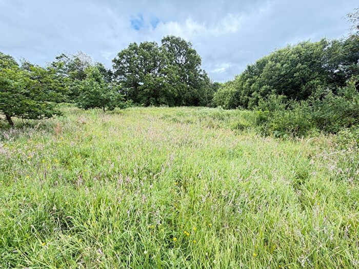 Land For Sale In Hatherleigh, Devon, EX20
