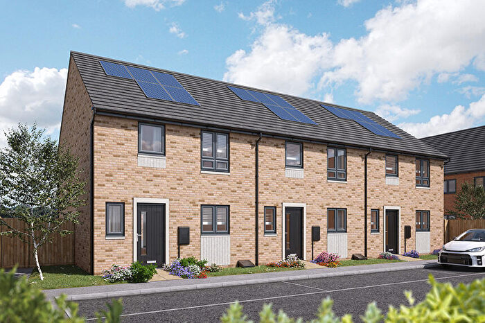 3 Bedroom House To Rent In Mews Lane, Sunderland, SR2