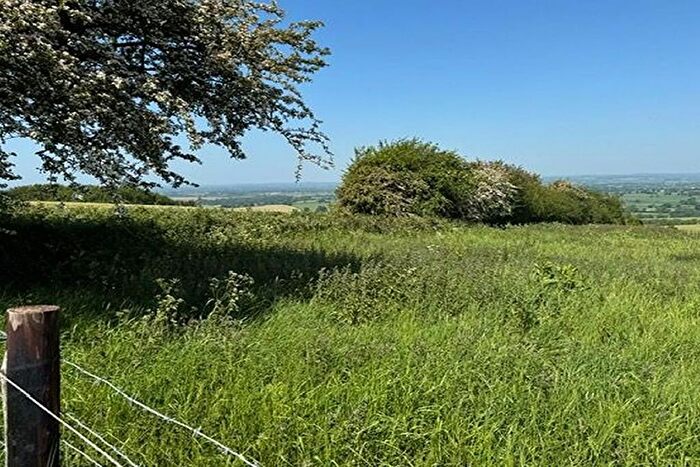 Land For Sale In Plot, Land At Okeford Hill, Okeford Fitzpaine, Blandford, Dorset, DT11