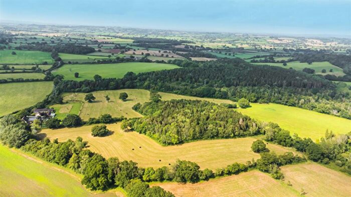 Land For Sale In Lot A - Land At Wood Lane, South Perrott, Beaminster, DT8