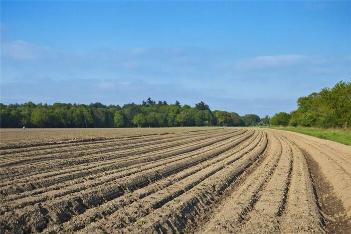 Land For Sale In Red House Farm (Lot ), Brick Kiln Road, Harkstead, IP9