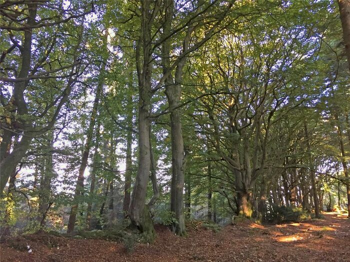 Land For Sale In Shute Road, Kilmington, Axminster, Devon, EX13