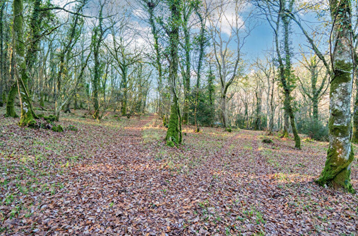 Land For Sale In Land Lying To The North West Of Champles Farm, Stoodleigh, Tiverton, Devon, EX16