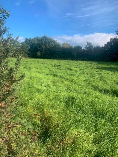 Land For Sale In Drummurrer Lane, Coalisland, Dungannon, BT71