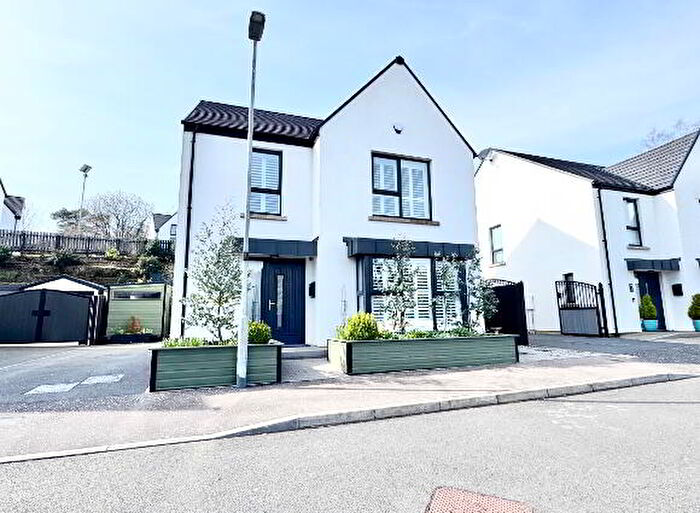 4 Bedroom Detached House For Sale In Homelea Demesne, Omagh, BT79