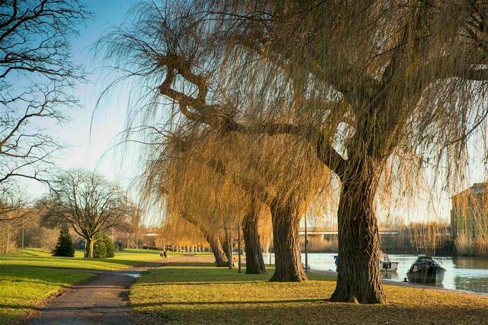 1 Bedroom Flat To Rent In Broadway, Peterborough, PE1