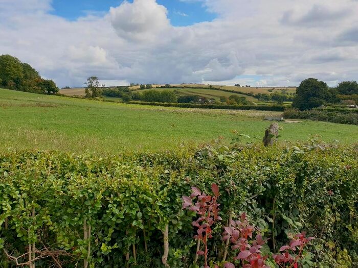 4 Bedroom Bungalow For Sale In Cattistock, Dorchester, DT2