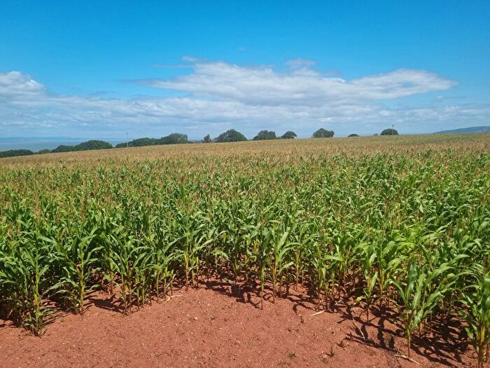 Land For Sale In Rodhuish Cross, Withycombe, Minehead, TA24