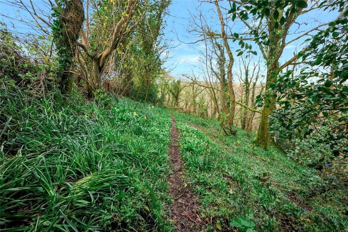 Land For Sale In Woodland At Pillaton, Pillaton, Saltash, Cornwall, PL12