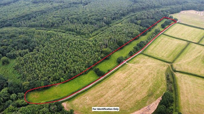 Land For Sale In Valley Road, Narberth, SA67