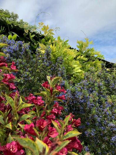 4 Bedroom Detached House For Sale In Step Into Narnia, EX6