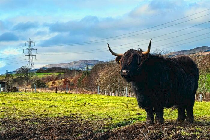 3 Bedroom Land For Sale In Braeface Road, Banknock, Bonnybridge, FK4