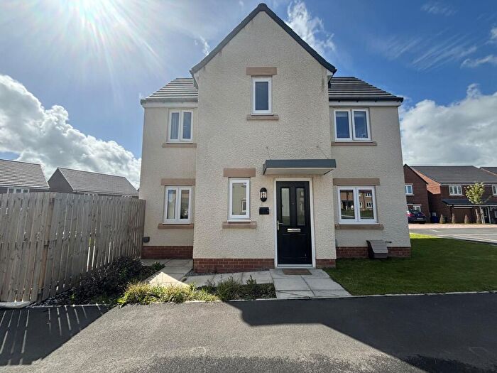 3 Bedroom Detached House To Rent In Daffodil Gardens, West Meadows, Cramlington, Northumberland, NE23