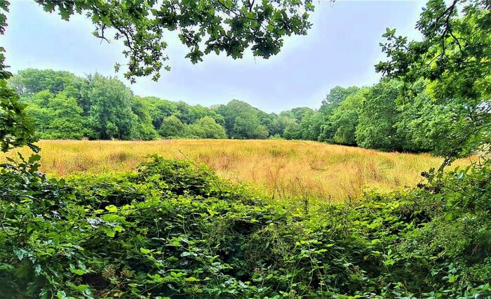 Land For Sale In Sheepwash, Beaworthy, EX21