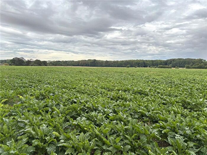 Land For Sale In Lot - Land At Owston, Doncaster, South Yorkshire, DN5