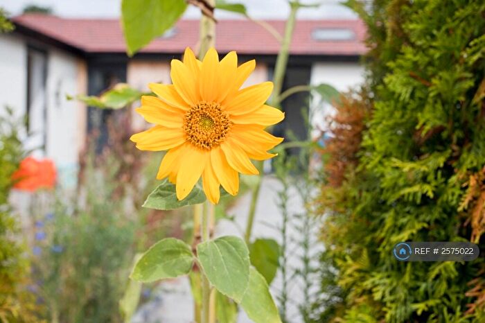 1 Bedroom Bungalow To Rent In Wayside Road, St. Leonards, Ringwood, BH24