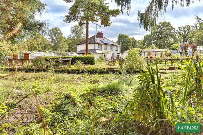 4 Bedroom Detached House For Sale In Cannop, Coleford, Gloucestershire., GL16