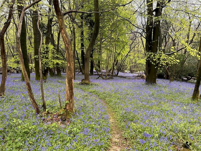 Land For Sale In Tree Tops, Wilderness Lane, Hadlow Down, Uckfield, TN22