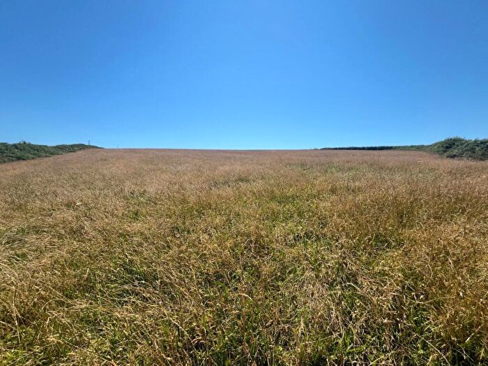 Land For Sale In Ugborough, Ivybridge, Devon, PL21