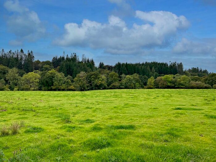 Land For Sale In Land &amp; Steading At Stronord, Newton Stewart, DG8