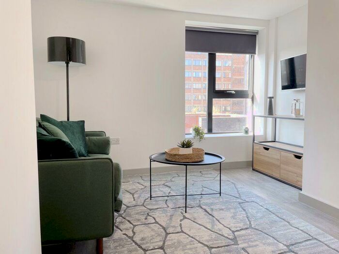 1 Bedroom Apartment To Rent In The Roscoe, L1