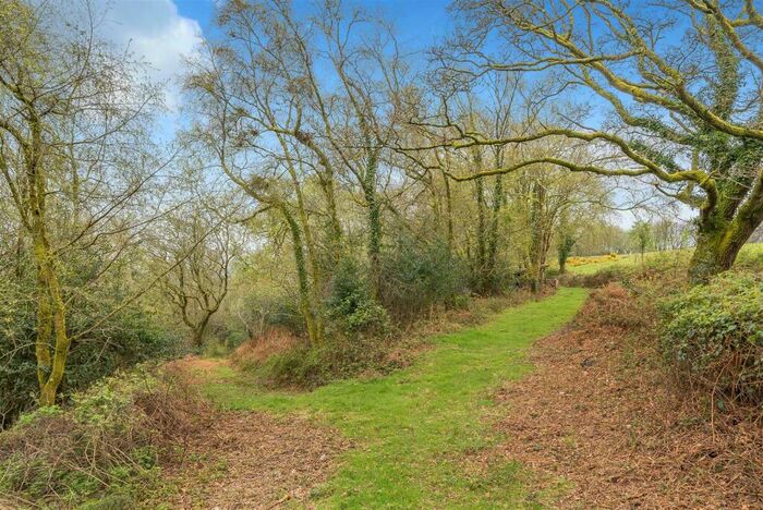 Land For Sale In Hatway Hill, Sidbury, Sidmouth, EX10