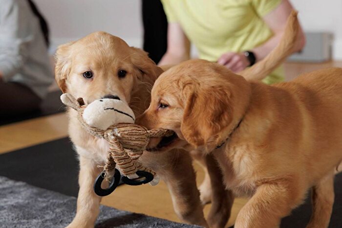 Studio To Rent In Coppermaker Square, Stratford, London, E20