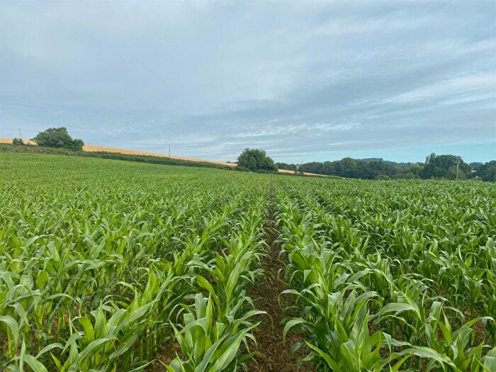 Land For Sale In Porchbrook Road, Rock Cross, Rock, DY14
