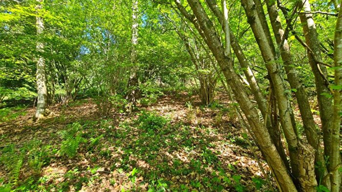 Land For Sale In Farley Heath, Albury, Guildford, GU5