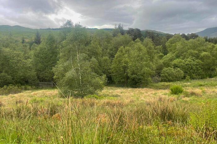 Land For Sale In , Loch Lomond Plot, Crianlarich, West Highland Way, FK20