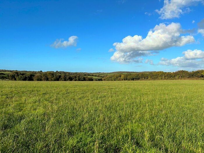Land For Sale In Clubworthy, Launceston, PL15