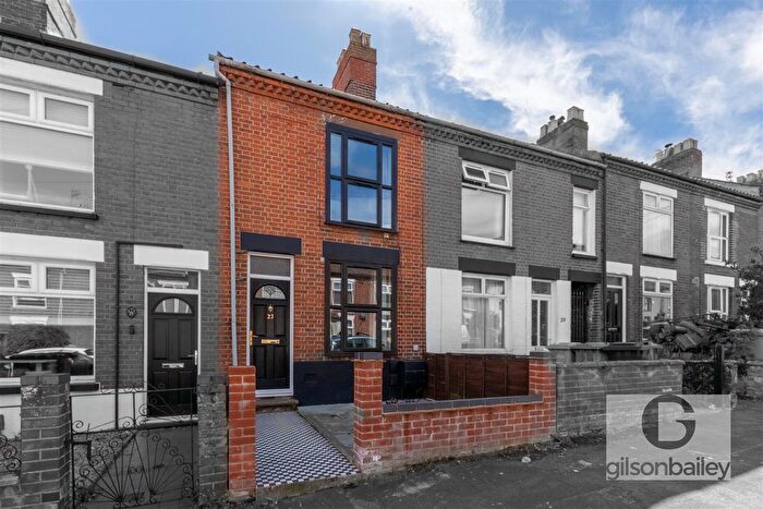 3 Bedroom Terraced House For Sale In Eade Road, Norwich, NR3