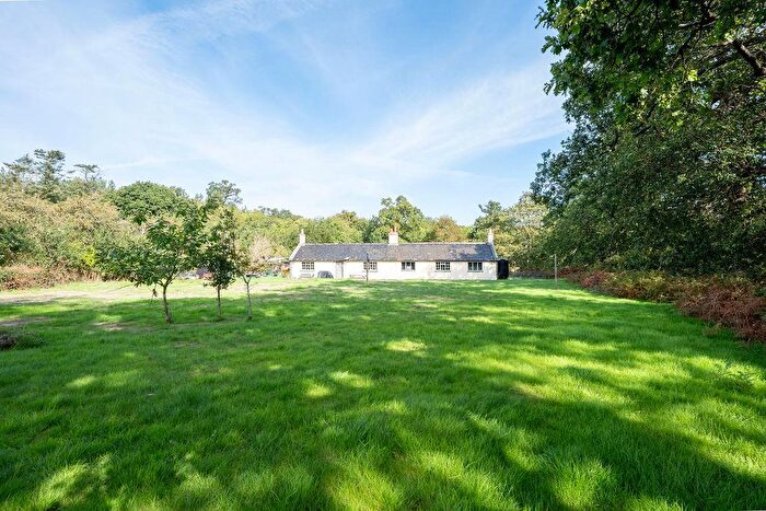 3 Bedroom Detached Bungalow To Rent In Henham, NR34