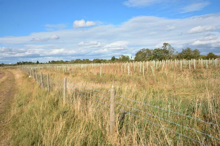 Farm For Sale In Cotham Lane, Hawton, Newark, NG24