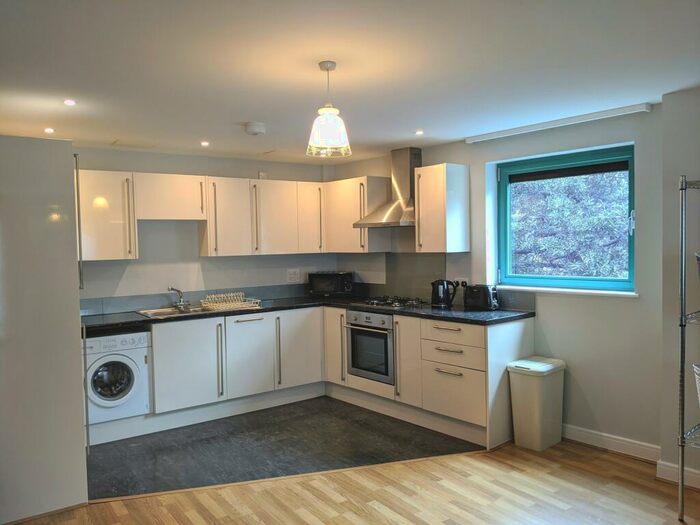 1 Bedroom Flat To Rent In Ocean Crescent, City Centre, PL1