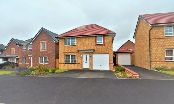 4 Bedroom Detached House To Rent In William Howell Way, ST7