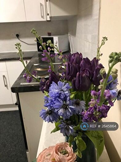 1 Bedroom Flat To Rent In Crookes Valley Road, Sheffield, S10