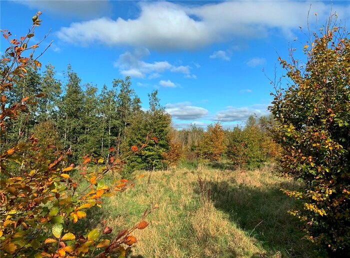 Land For Sale In Marnhull, Sturminster Newton, Dorset DT10