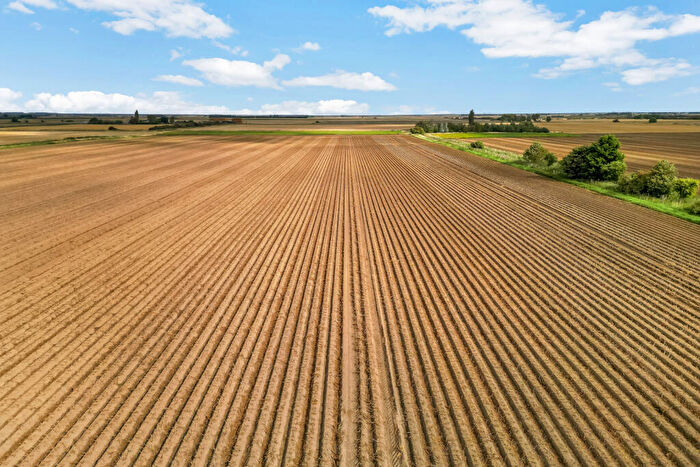Land For Sale In Morton Fen, Morton, Bourne, Lincolnshire, PE10