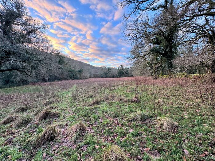 Land For Sale In Poundsgate, Newton Abbot, TQ13